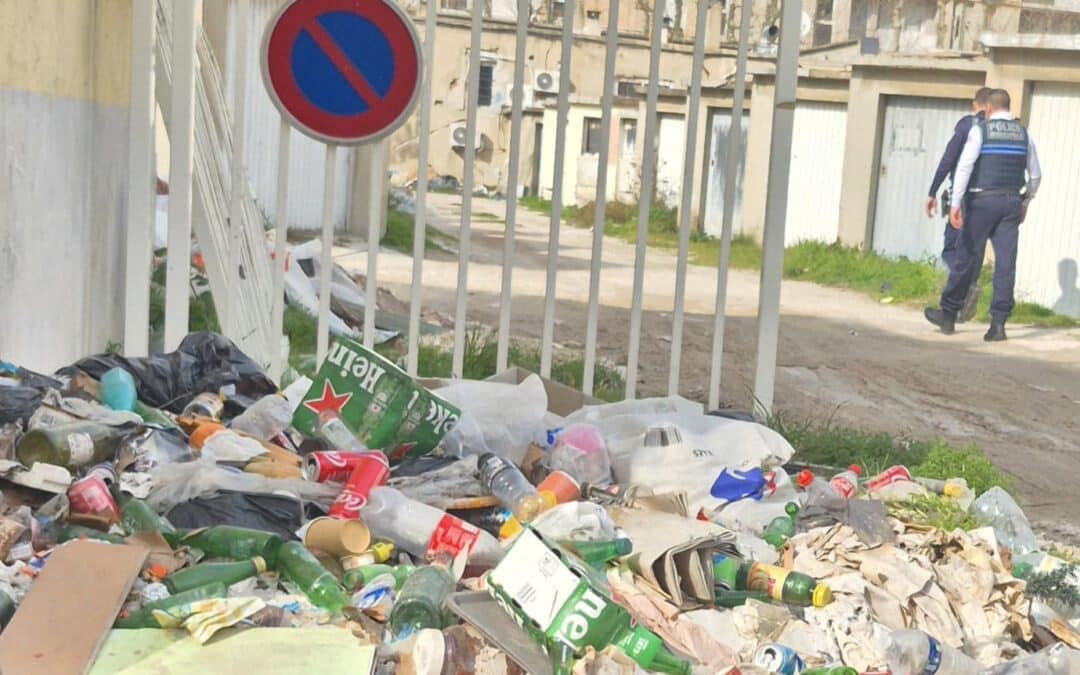 LES RATS SE SONT RENDUS MAITRES DE LA VILLE